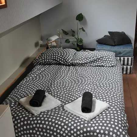 Spacious Houseboat Near Central Station 船屋 *